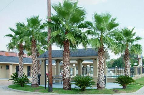 Budget Inn Monroe Bagian luar foto